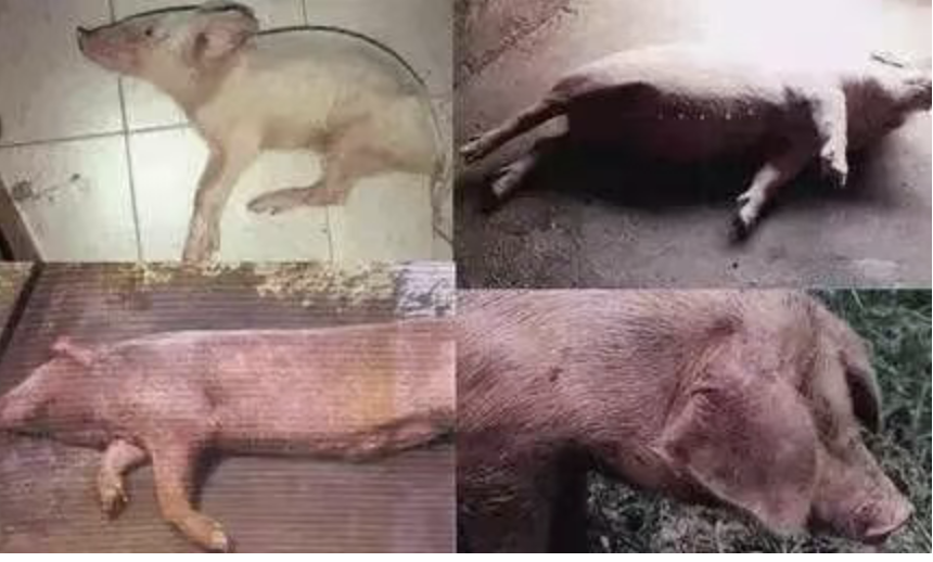 截屏2026-04-09 15.26.37.png