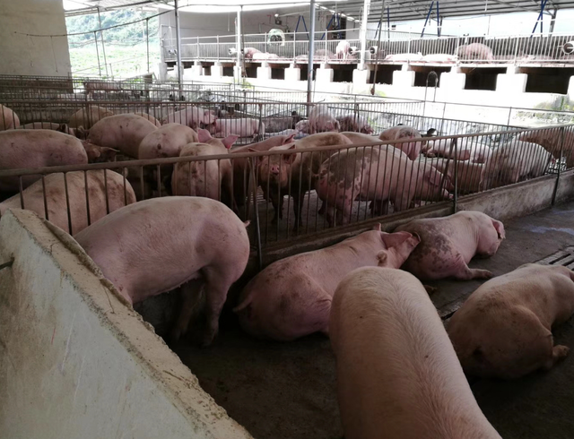 e18bc2cf9f9149c49392e35308e724f3~tplv-tt-shrink_640_0.png e18bc2cf9f9149c49392e35308e724f3~tplv-tt-shrink_640_0.png