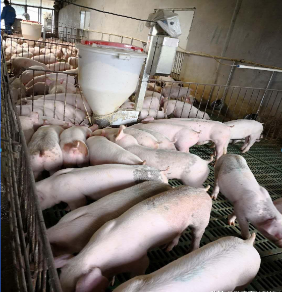 QQ图片20250527123019.png QQ图片20250527123019.png