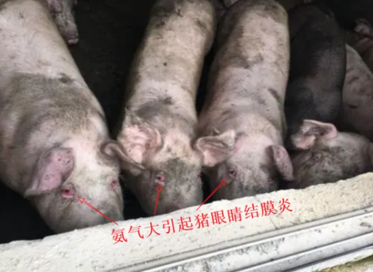 17725067485674650.jpg 17725067485674650.jpg