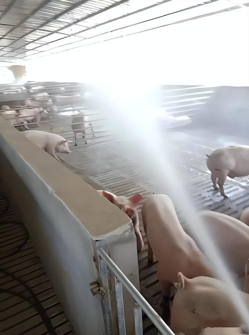 17725068301279981.jpg 17725068301279981.jpg