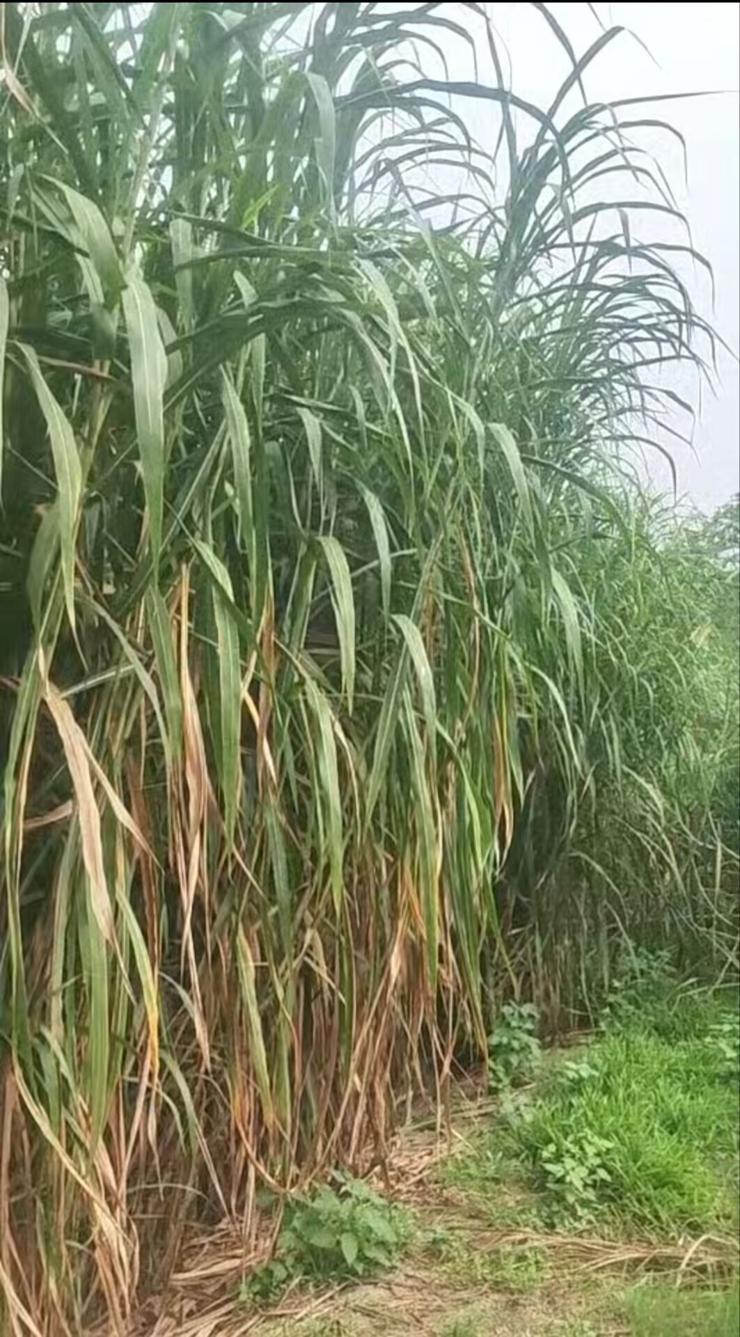 3cacea2ae19f6e61ad5367d6f67e2bd6_720.jpg 3cacea2ae19f6e61ad5367d6f67e2bd6_720.jpg