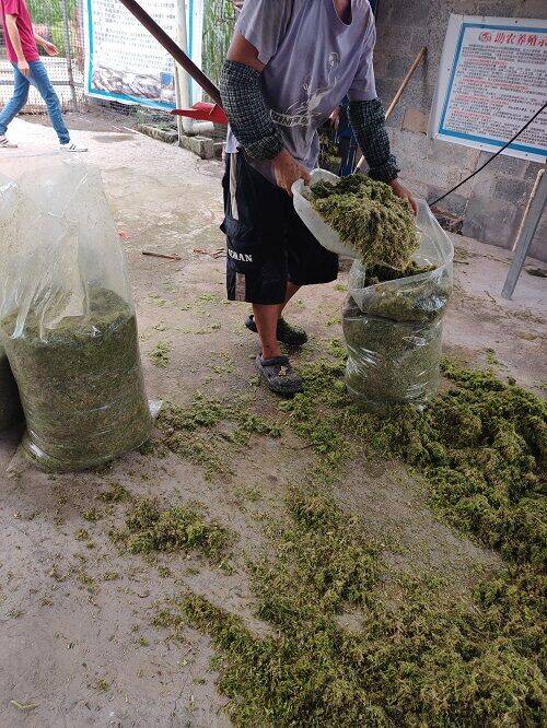 edaf433cc6ed3285e4153809ef76c45f_720.jpg edaf433cc6ed3285e4153809ef76c45f_720.jpg