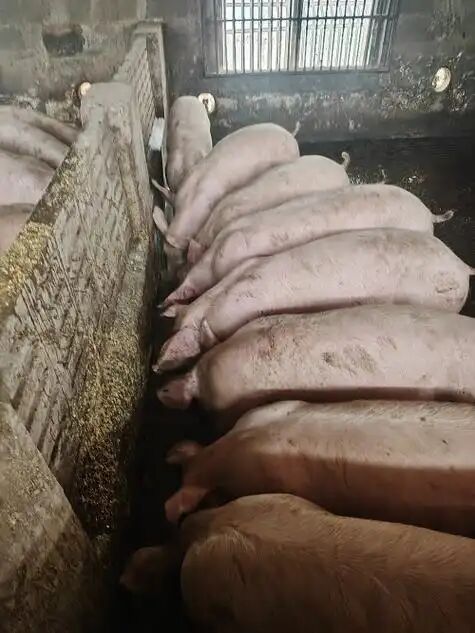 1b098d1e1d2eaf9b585cc42ef60a7033.jpg 1b098d1e1d2eaf9b585cc42ef60a7033.jpg