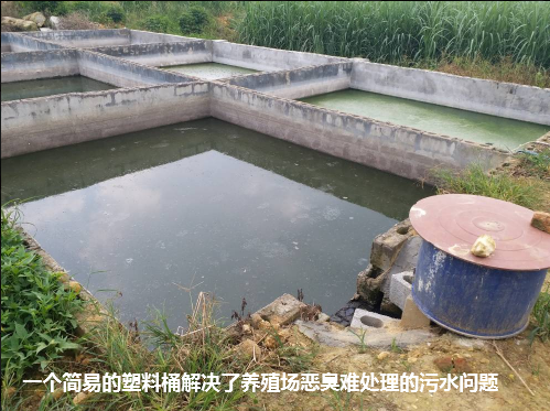 武鸣区生态养殖场效果验证1.png 武鸣区生态养殖场效果验证1.png