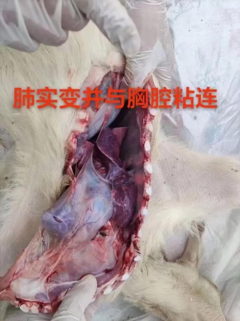 微信图片_20260413092253.jpg 微信图片_20260413092253.jpg