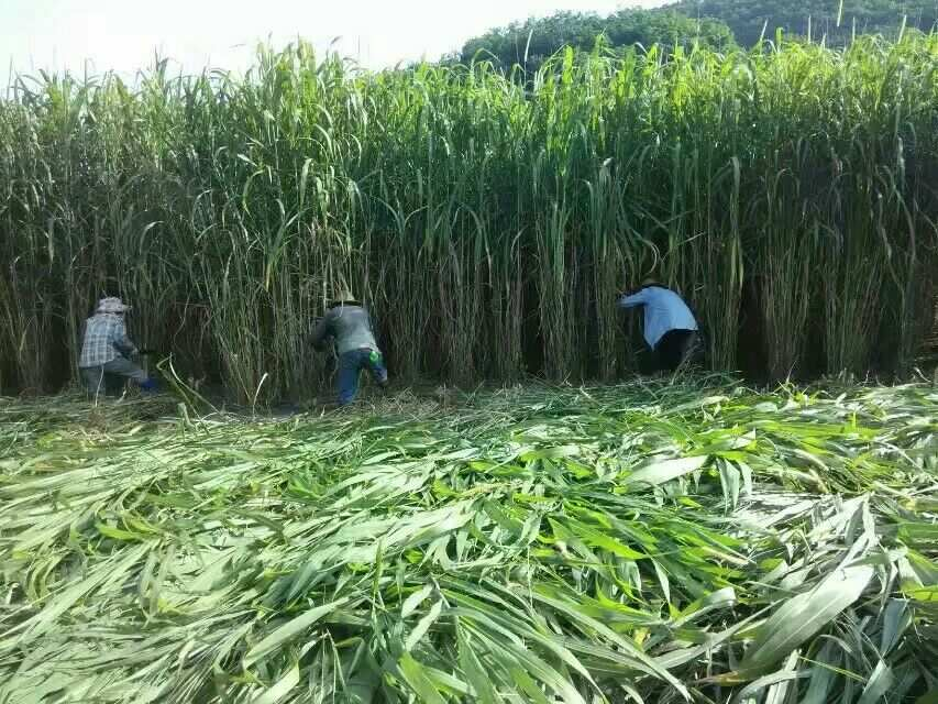 QQ图片20250508122946.png QQ图片20250508122946.png