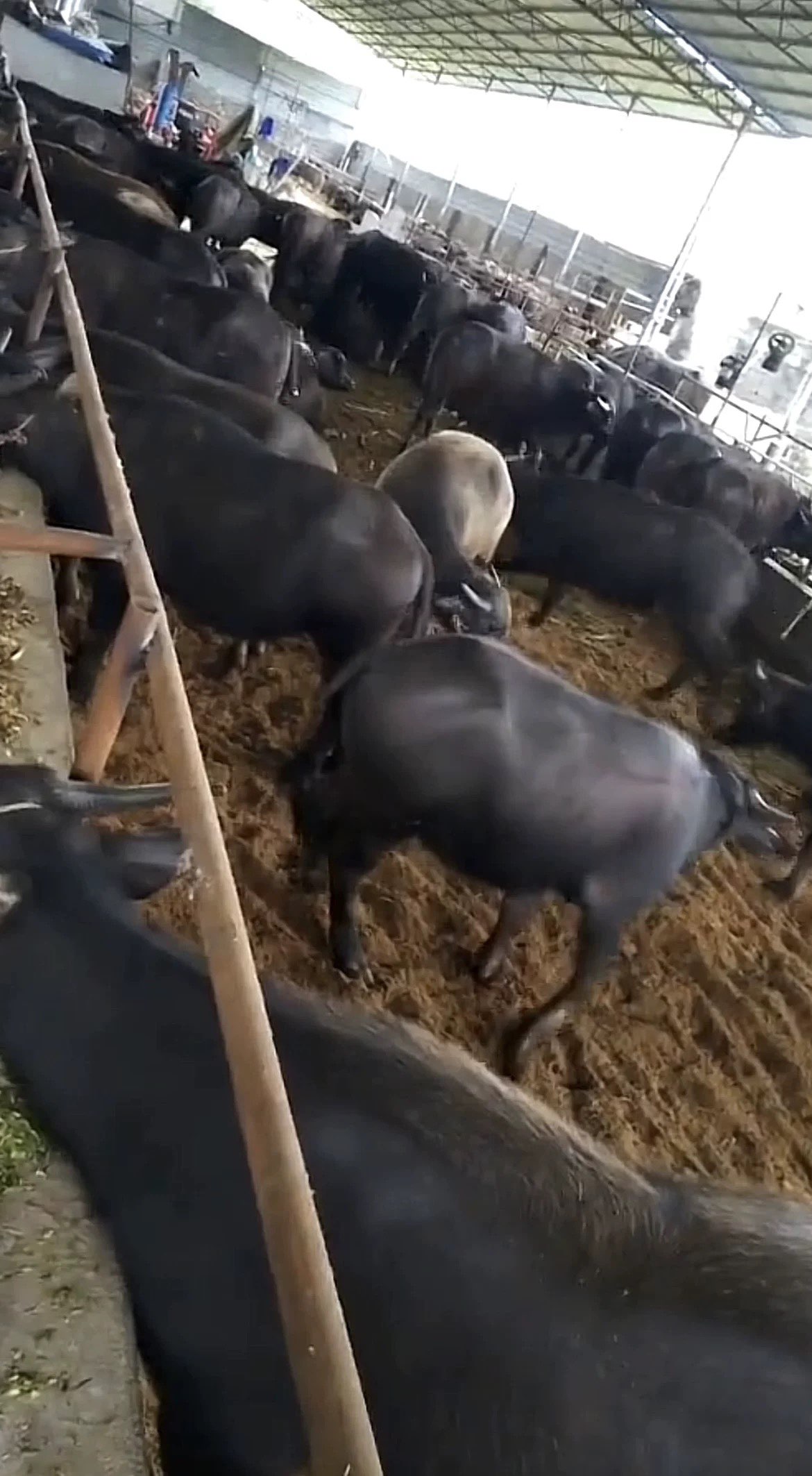 QQ图片20260413145014.jpg QQ图片20260413145014.jpg