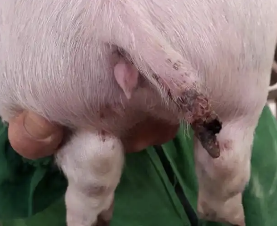 截屏2026-04-13 15.47.40.png 截屏2026-04-13 15.47.40.png