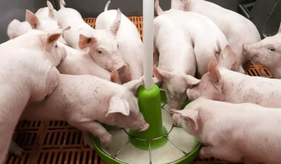 ED5E4B7D7D1414604B63EFBF121CEDAF.png ED5E4B7D7D1414604B63EFBF121CEDAF.png