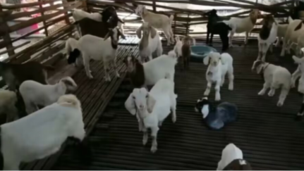 QQ图片20230506115526.png QQ图片20230506115526.png