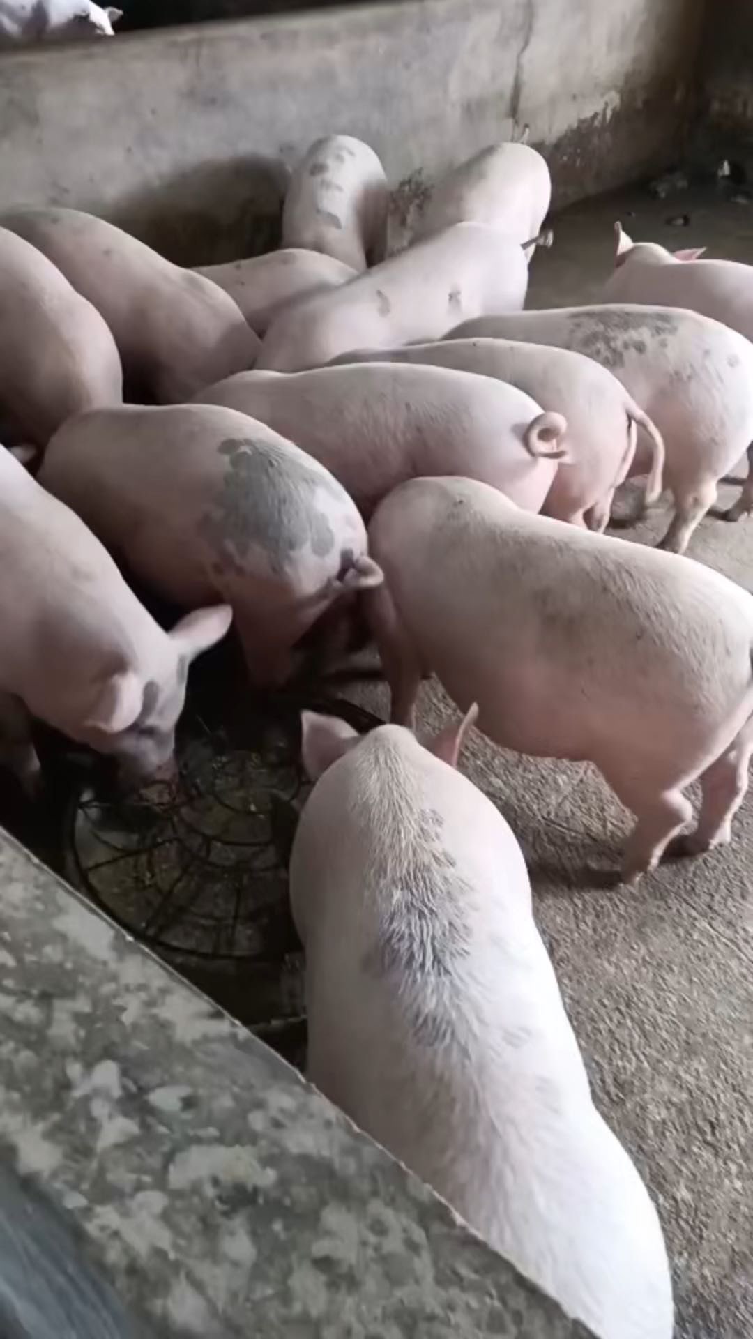 QQ图片20260415153830.jpg QQ图片20260415153830.jpg