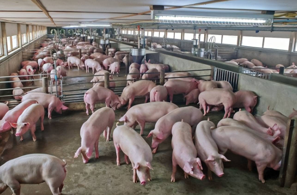 QQ图片20260415154654.png QQ图片20260415154654.png