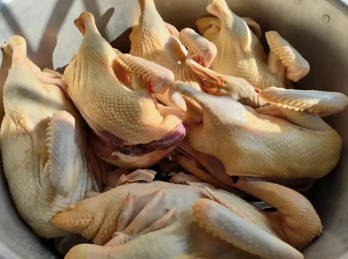 截屏2026-04-21 10.14.20.png