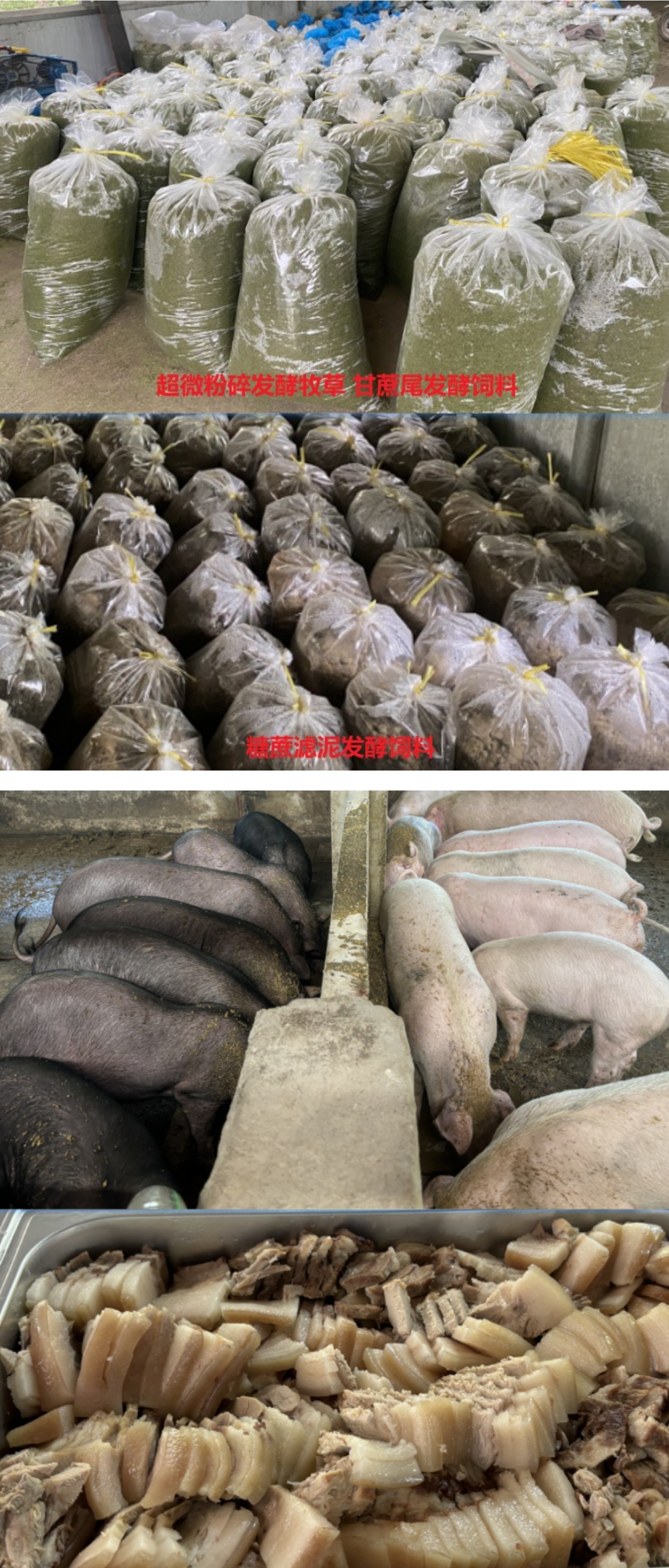 节粮养殖1.jpg