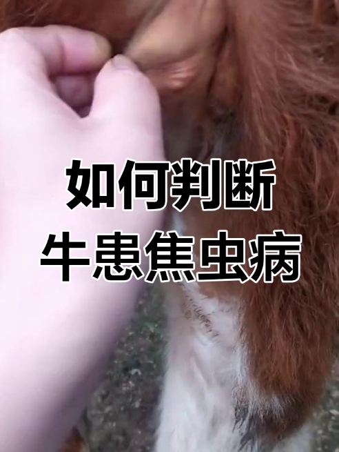 微信截图_20260512095437.jpg 微信截图_20260512095437.jpg