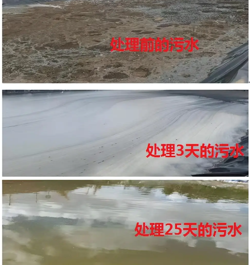 截图20260512101442.png 截图20260512101442.png