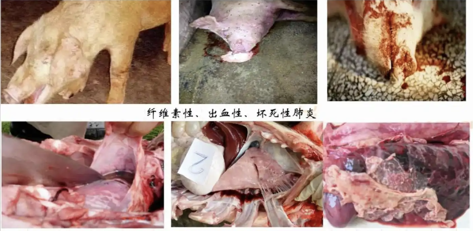 截屏2026-05-12 10.25.39.png 截屏2026-05-12 10.25.39.png