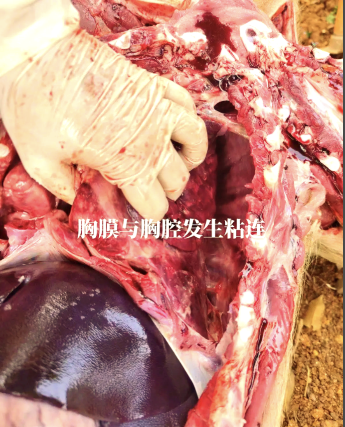 截屏2026-05-12 10.28.30.png 截屏2026-05-12 10.28.30.png