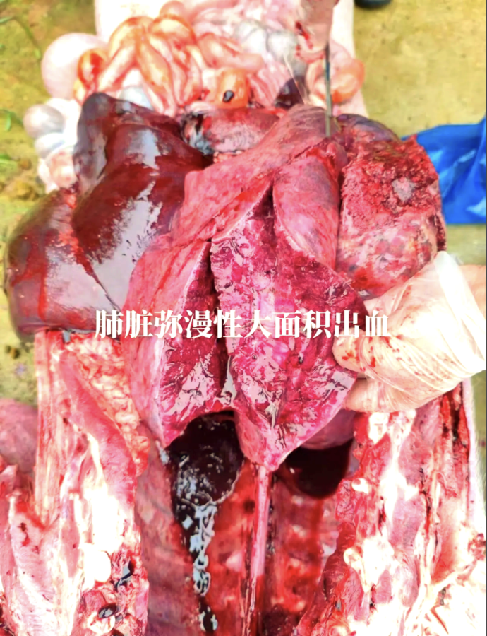 截屏2026-05-12 10.29.51.png 截屏2026-05-12 10.29.51.png