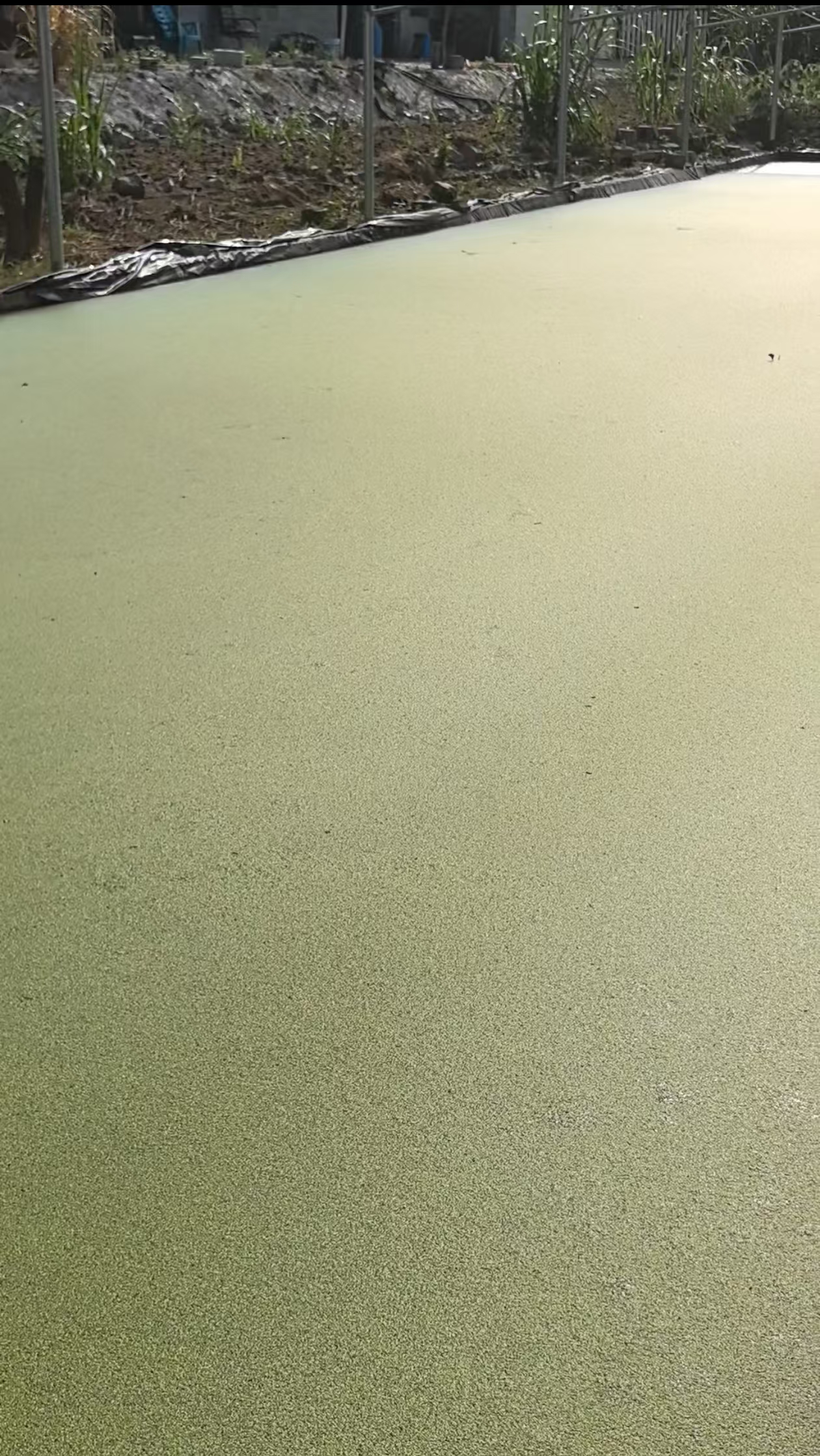 微信图片_20260515102826_349_8.jpg