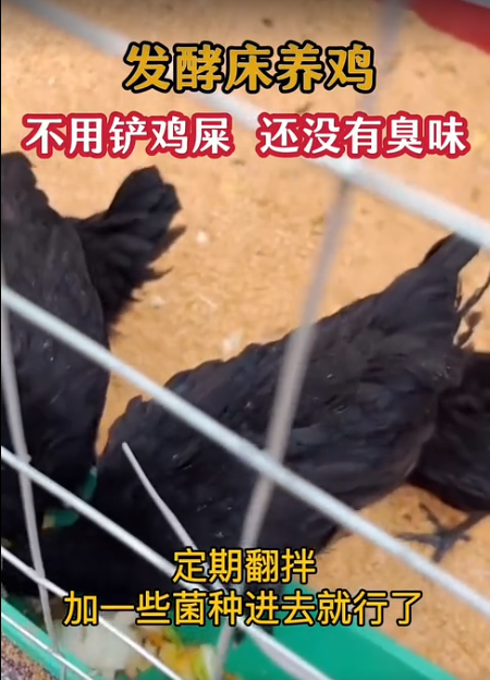 截图20260529152459.png 截图20260529152459.png