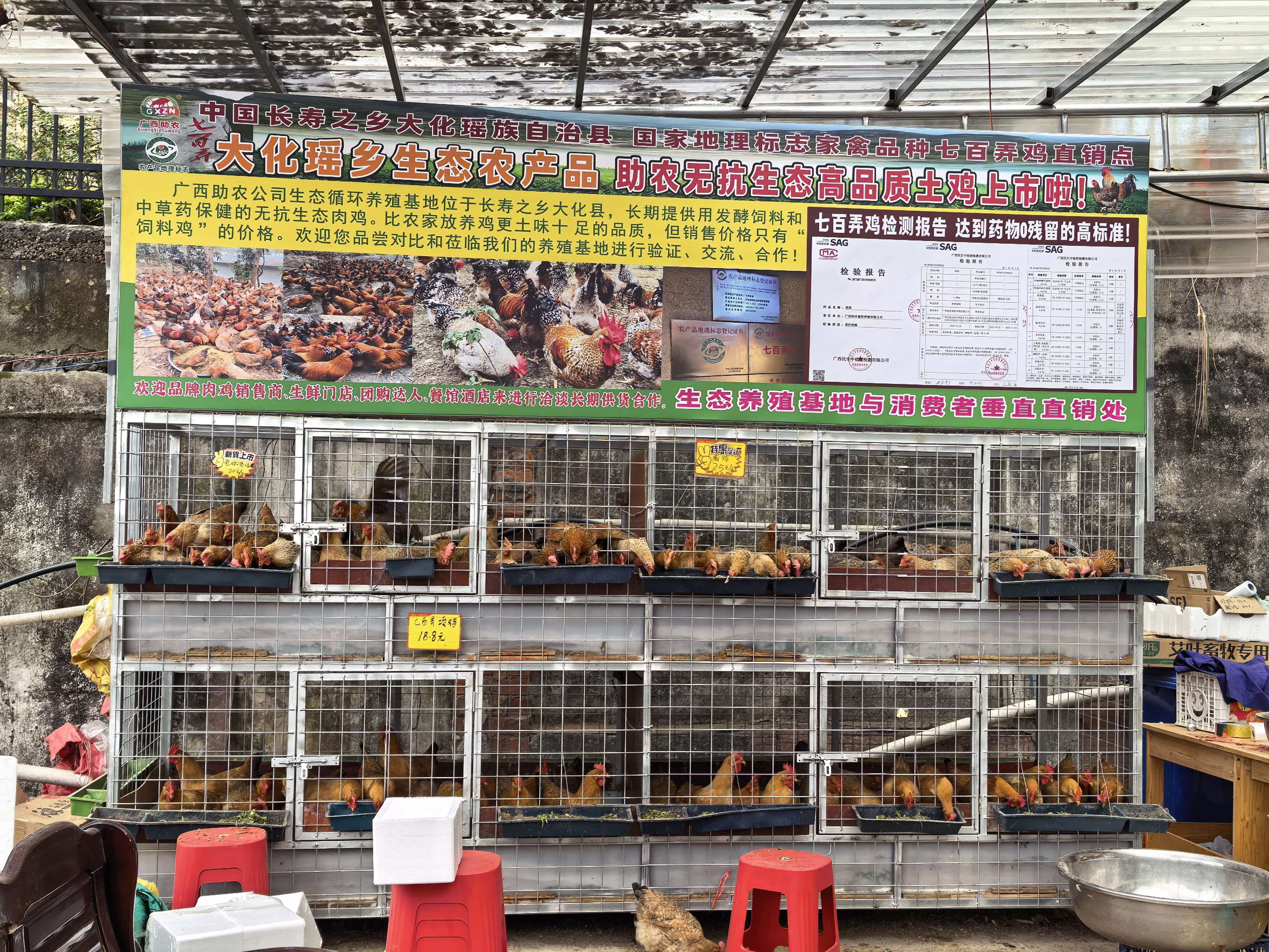 发酵饲料肉鸡销售点.jpg