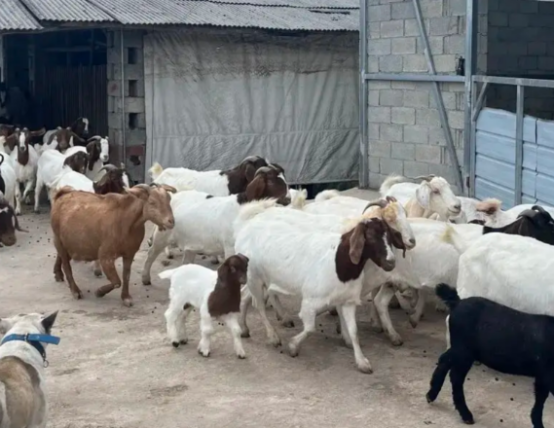 image.png image.png