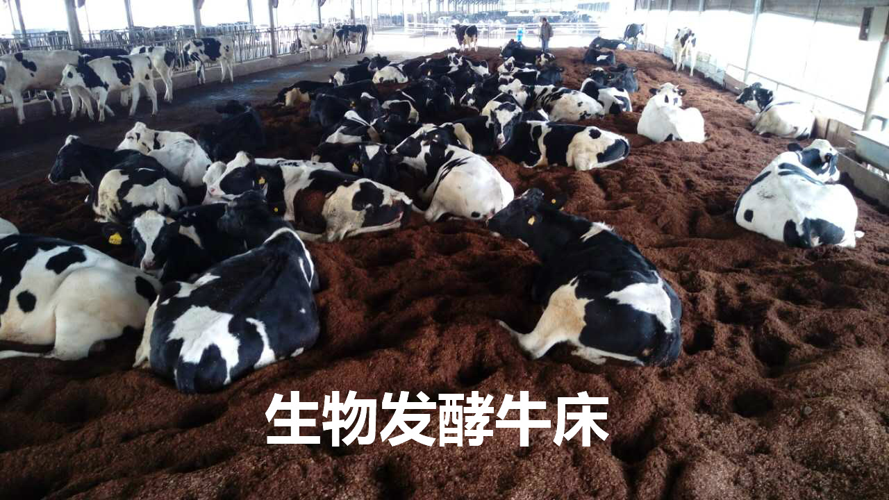 上海江南三淼生物工程设备有限公司