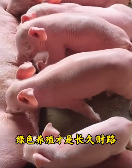 截图20260609105641.png