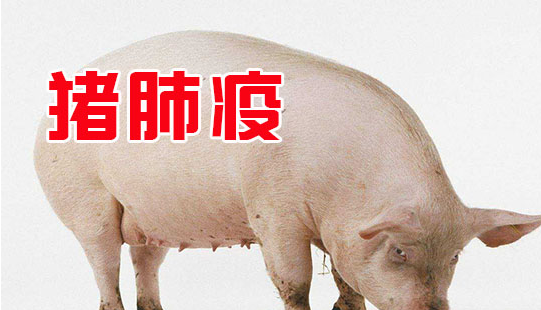 截图20260610095946.png