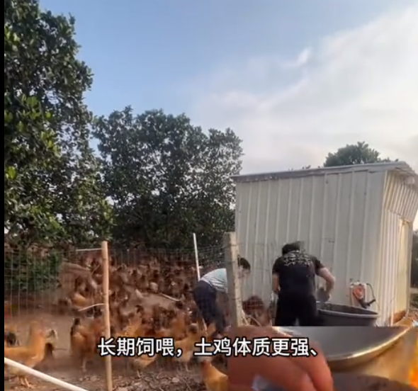 截图20260611100815.png