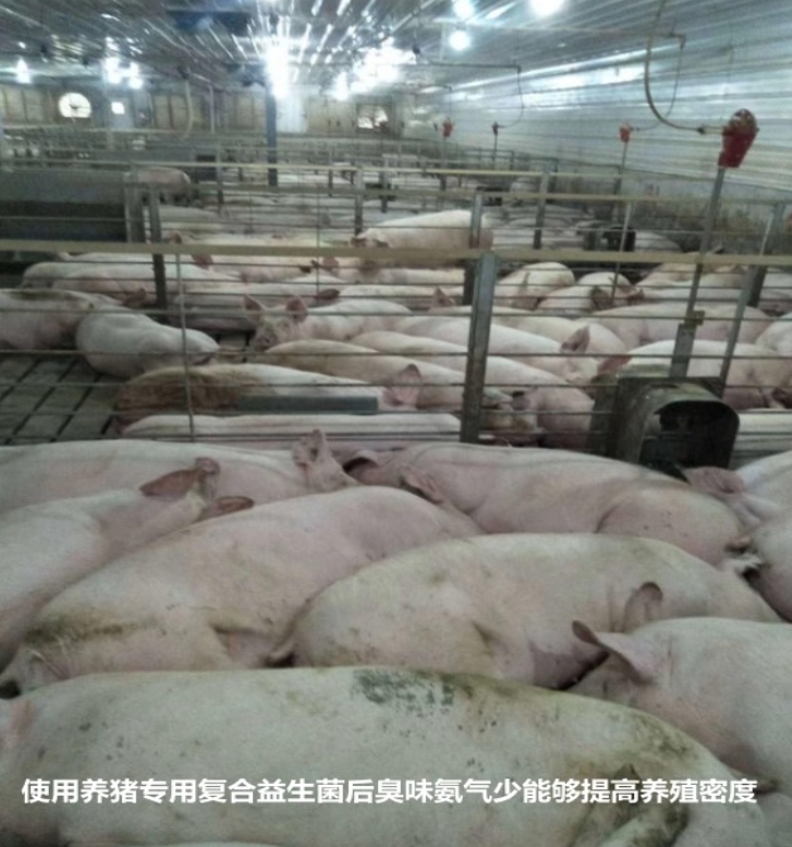 微信截图_20260611102551.jpg