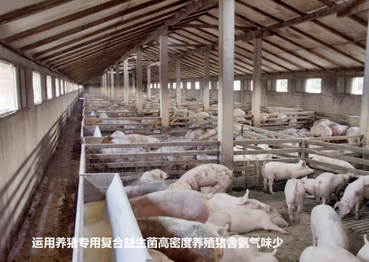 微信截图_20260611102537.jpg