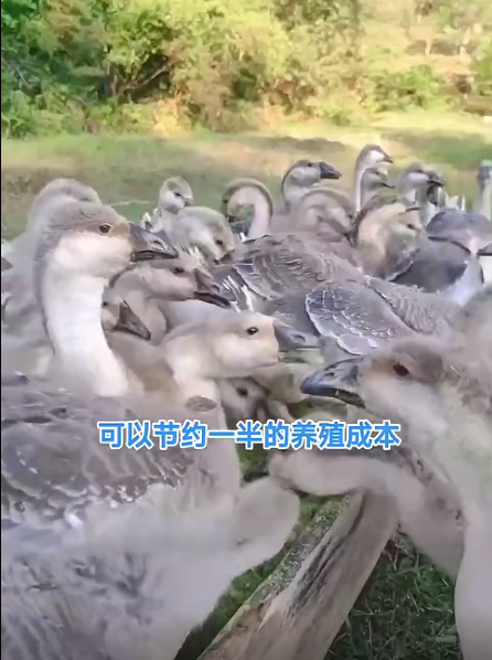 截图20260613093941.png