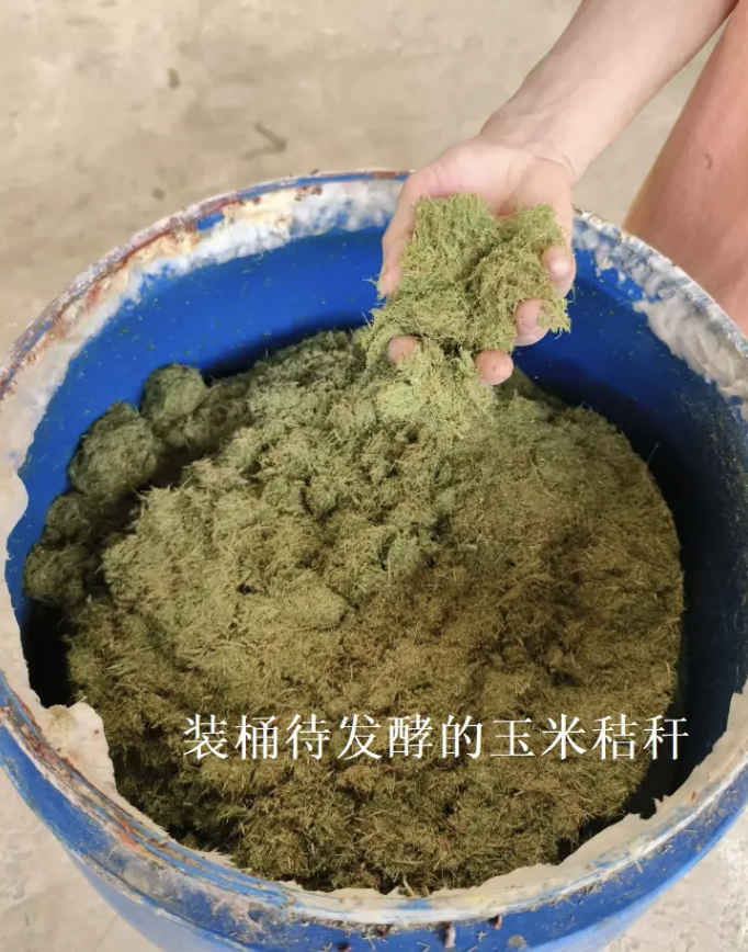 截屏2026-06-17 09.54.08.png 截屏2026-06-17 09.54.08.png