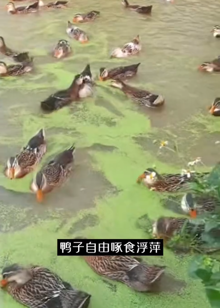 截图20260709091849.png 截图20260709091849.png