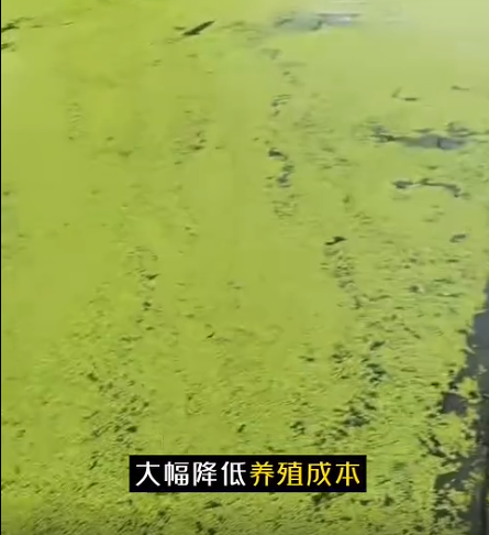 截图20260709092201.png 截图20260709092201.png