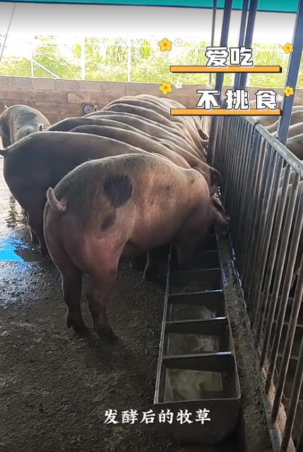 截图20260710092544.png 截图20260710092544.png