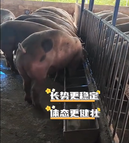 截图20260710093152.png 截图20260710093152.png