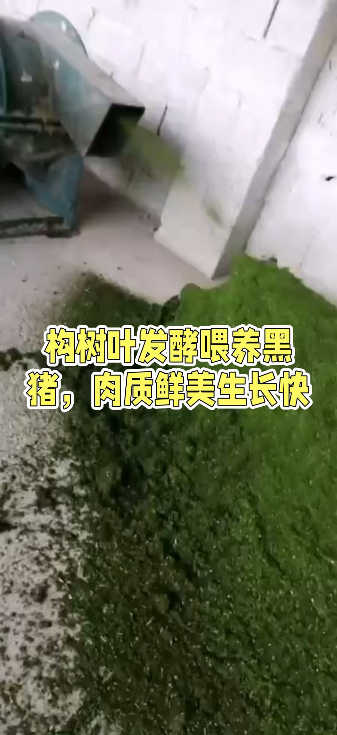 QQ图片20260713143819.jpg QQ图片20260713143819.jpg