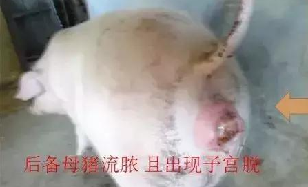 截图20260720104343.png 截图20260720104343.png