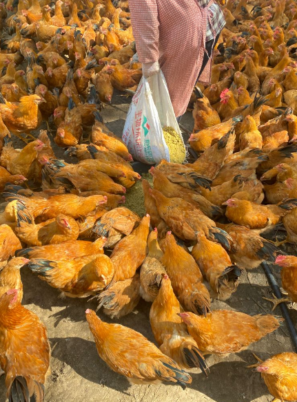 QQ图片20250402112444.png QQ图片20250402112444.png