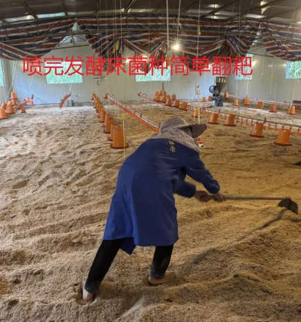 image.png image.png