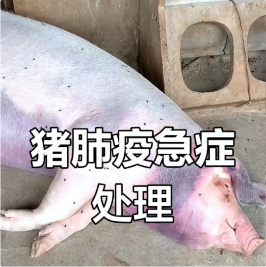image.png image.png