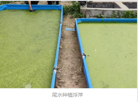89a306b2-4369-472a-a5db-ecd058286d36.png