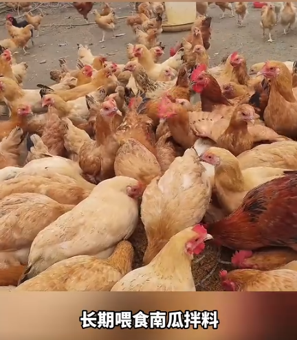 截图20260801093402.png