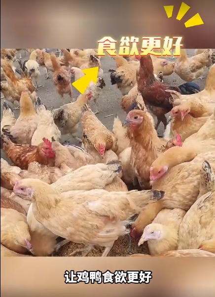 截图20260801093512.png