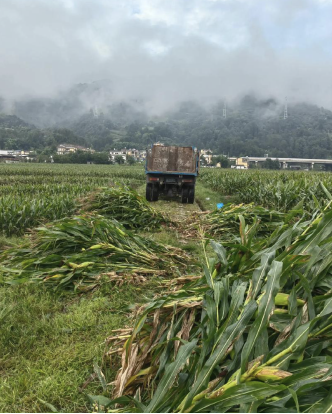 截屏2026-08-01 13.03.24.png 截屏2026-08-01 13.03.24.png