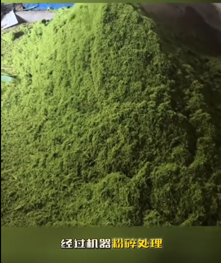 截图20260806110933.png